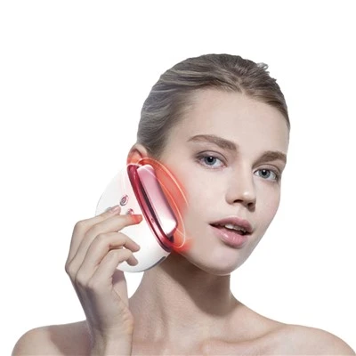 Electric Beauty Massager